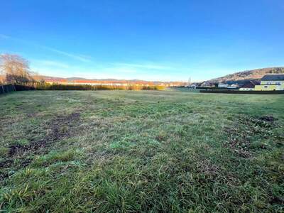 Grundstück kaufen in 8330 Feldbach