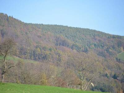 Grundstück kaufen in 8045 Graz (Bild 1)