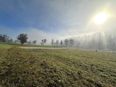 Grundstück kaufen in 4400 Saaß