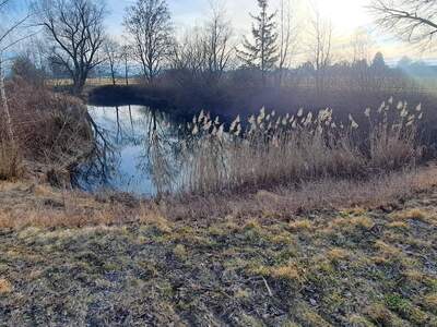 Grundstück provisionsfrei mieten in 3385 Markersdorf