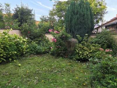 Haus mit Garten mieten in 3730 Eggenburg (Bild 5)