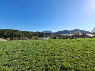 Grundstück kaufen in 9560 Feldkirchen (Bild 5)