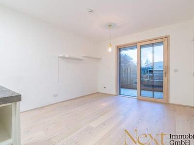 Terrassenwohnung mieten in 4040 Linz (Bild 2)