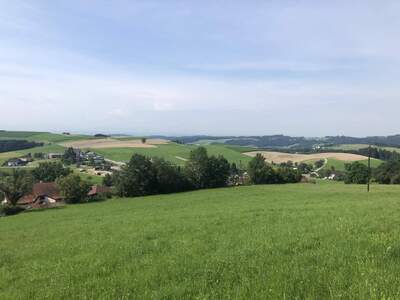 Grundstück kaufen in 4362 Bad Kreuzen