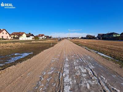 Grundstück kaufen in 2332 Hennersdorf (Bild 2)