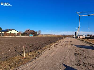 Grundstück kaufen in 2332 Hennersdorf (Bild 3)