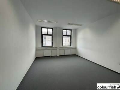 Gewerbeobjekt mieten in 1040 Wien (Bild 3)