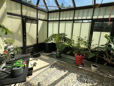 Haus kaufen in 7202 Bad Sauerbrunn (Bild 5)