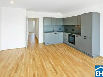 Terrassenwohnung mieten in 1220 Wien (Bild 3)