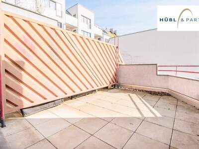 Wohnung mieten in 1220 Wien (Bild 5)