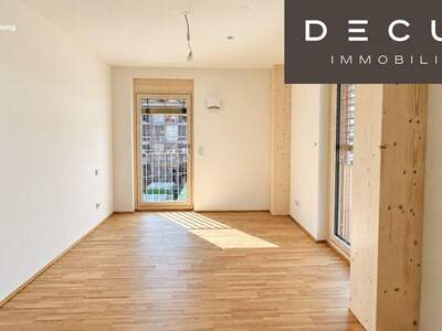 Terrassenwohnung mieten in 1030 Wien (Bild 4)