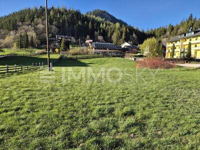 Grundstück kaufen in 8983 Bad Mitterndorf (Bild 3)