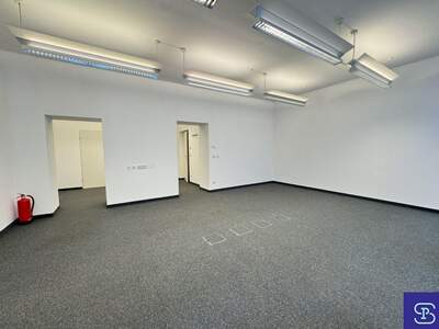 Gewerbeobjekt mieten in 1090 Wien (Bild 4)