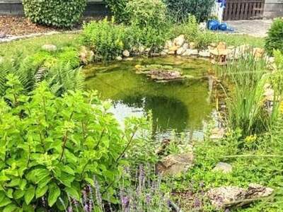 Haus kaufen in 2103 Langenzersdorf (Bild 3)