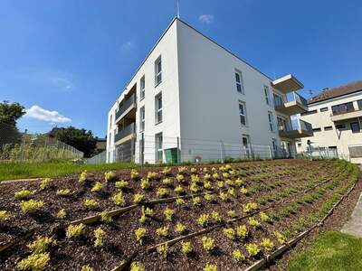 Wohnung mieten in 4713 Gallspach (Bild 1)