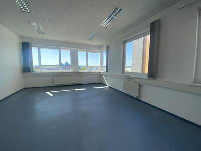 Gewerbeobjekt mieten in 1230 Wien (Bild 2)