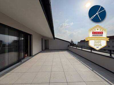Terrassenwohnung kaufen in 3500 Krems (Bild 3)