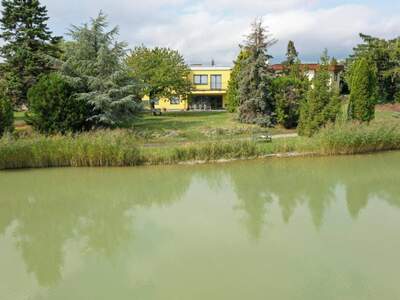 Haus kaufen in 2601 Eggendorf