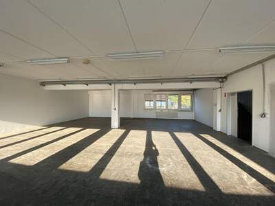 Gewerbeobjekt mieten in 1230 Wien (Bild 3)