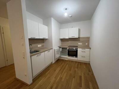 Terrassenwohnung mieten in 4020 Linz (Bild 3)