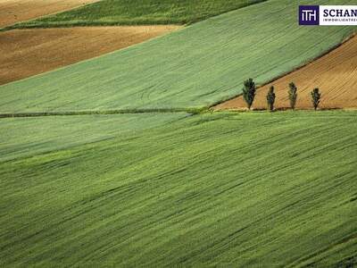 Grundstück kaufen in 8010 Graz (Bild 2)
