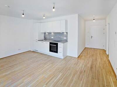 Terrassenwohnung mieten in 1220 Wien (Bild 1)