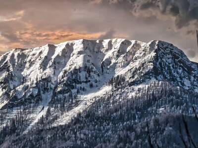 Grundstück kaufen in 9184 St. Jakob (Bild 2)