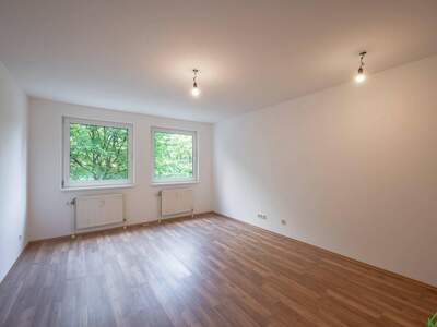 Wohnung mieten in 1100 Wien