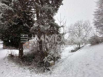 Grundstück kaufen in 6833 Klaus (Bild 2)