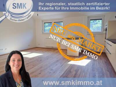 Wohnung mieten in 3500 Krems