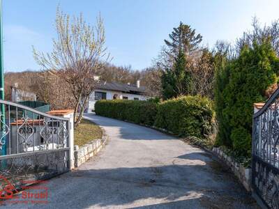 Haus mit Garten kaufen in 2451 Hof (Bild 4)
