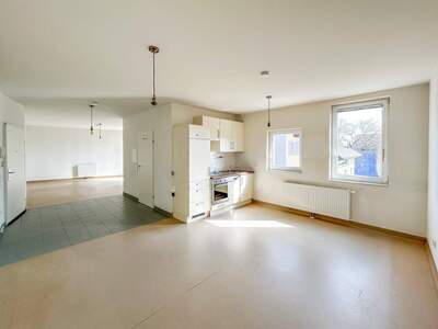 Wohnung mieten in 2104 Spillern