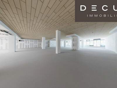 Einzelhandel mieten in 1210 Wien (Bild 1)