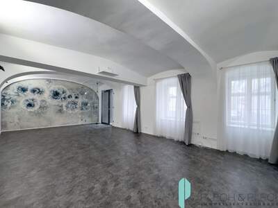 Gewerbeobjekt mieten in 1060 Wien (Bild 2)