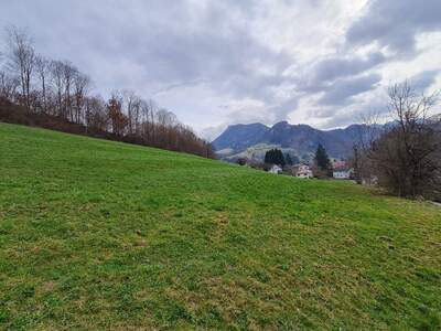 Grundstück kaufen in 4460 Losenstein (Bild 2)