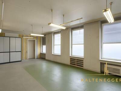 Gewerbeobjekt mieten in 1120 Wien (Bild 4)