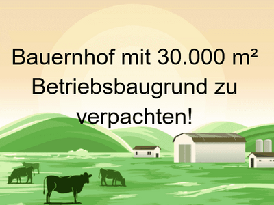 Grundstück provisionsfrei mieten in 4600 Wels
