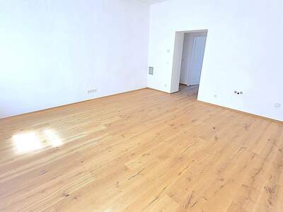 Altbauwohnung kaufen in 1220 Wien (Bild 3)