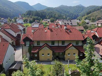 Mehrfamilienhaus kaufen in 3192 Hohenberg (Bild 3)