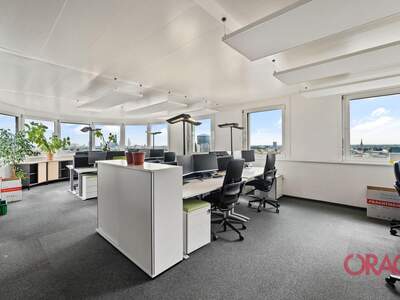 Gewerbeobjekt mieten in 1020 Wien (Bild 3)