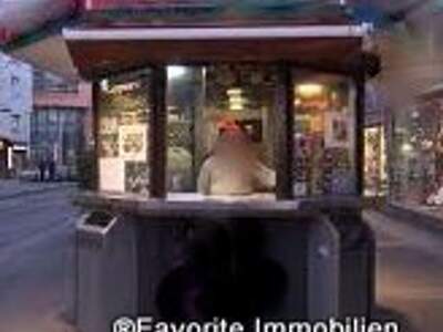 Gewerbeobjekt mieten in 1100 Wien (Bild 2)