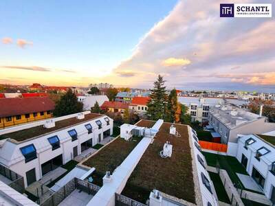 Terrassenwohnung kaufen in 1230 Wien (Bild 5)