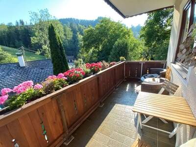 Wohnung mit Balkon mieten in 4852 Weyregg (Bild 5)