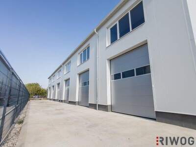 Produktion mieten in 3425 Langenlebarn (Bild 3)