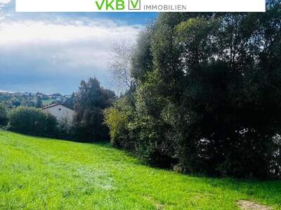 Grundstück kaufen in 4201 Eidenberg