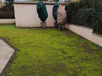 Gewerbeobjekt provisionsfrei kaufen in 1230 Wien