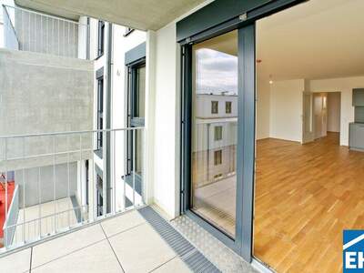 Terrassenwohnung mieten in 1220 Wien (Bild 1)