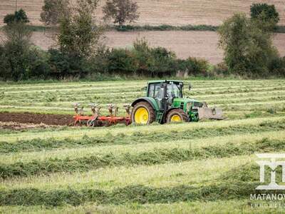 Gewerbeobjekt kaufen in 9062 Tigring (Bild 5)