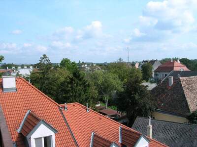 Terrassenwohnung kaufen in 2000 Stockerau (Bild 1)