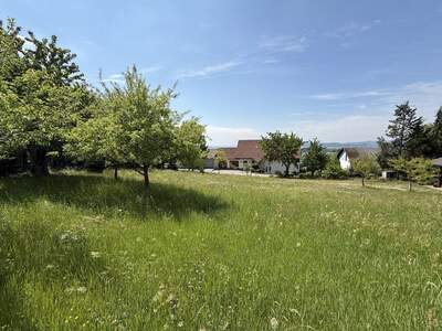 Grundstück kaufen in 4224 Wartberg (Bild 2)